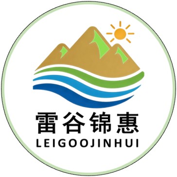 公司介绍